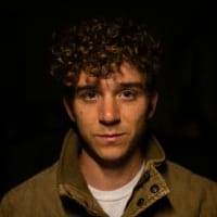 golden retriever puppies